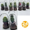 24 BOMBONIERA AMPOLLA CUPOLA CACTUS VETRO TAPPO SUGHERO NASCITA BATTESIMO WEDDING