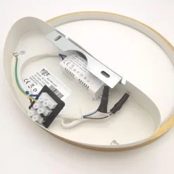 APPLIQUE PARETE LED 14W CERCHIO ORO LAMPADA TONDA DESIGN MODERNO LUCE 4000K 71255