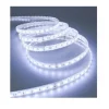 BOBINA STRISCIA LED 5050 FLESSIBILE 5 MT ADESIVA LUCE INTERNO ESTERNO IP65 STRIP