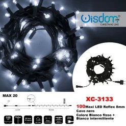 CATENA LUMINOSA 100LUCI LED LUCCIOLE BIANCO FISSO + BIANCO INTERMITTENTE XC-3133