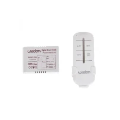 CENTRALINA 2 CANALI + TELECOMANDO WIRELESS WISDOM PER CONTROLLO LUCI LED 1000Wx2