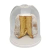 CUPOLA COPRI PANDORO H27 PORTA DOLCI NATALE CHIUSURA SALVAFRESCHEZZA TRASPARENTE