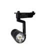 FARETTO A BINARIO PISTA 20 WATT NERO LUCE FREDDA NATURALE CALDA 2 POLI F-20W8H