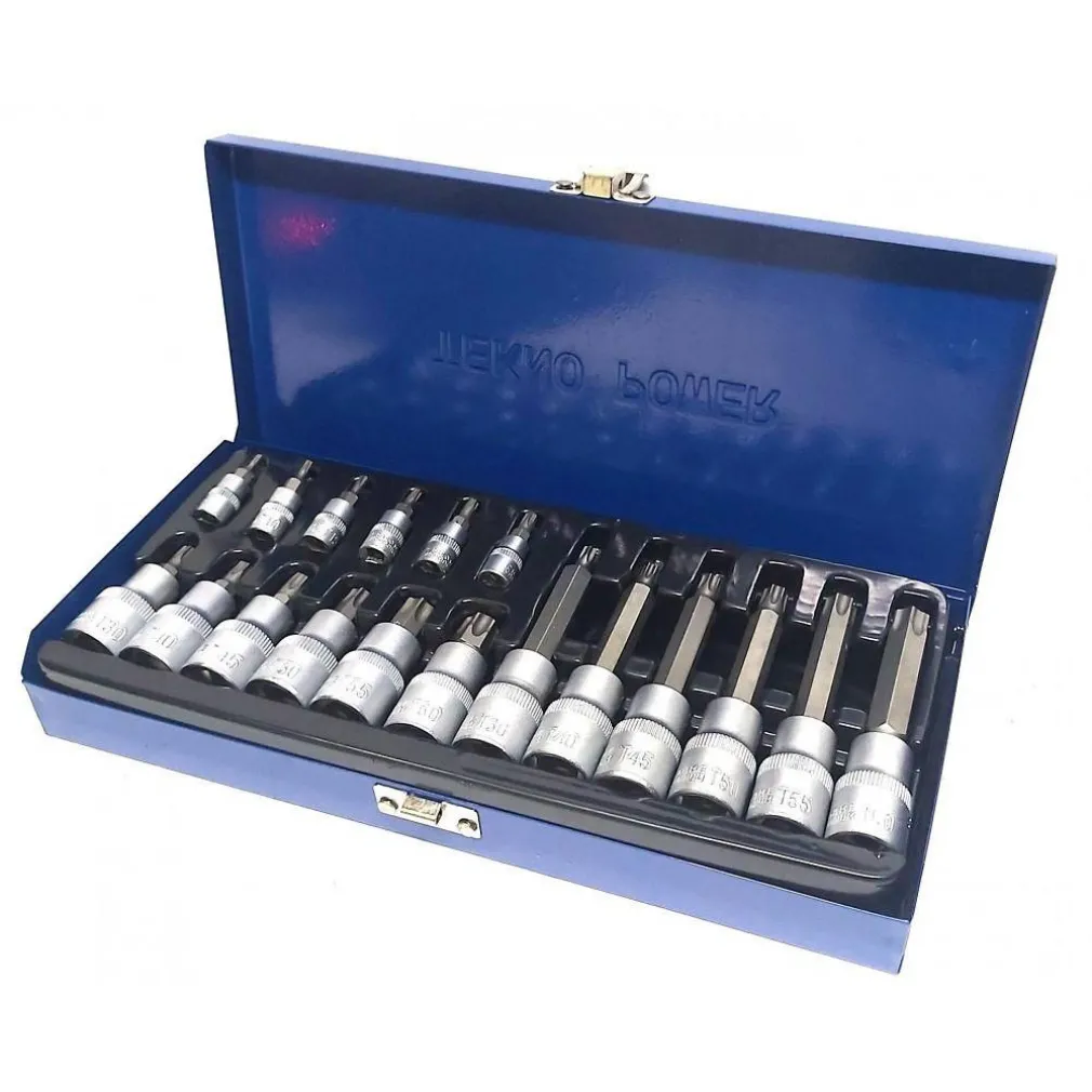 KIT SET INSERTI CHIAVI 19 PEZZI BUSSOLE CHIAVI TORX MASCHI 1/4" 1/2" IN VALIGIA