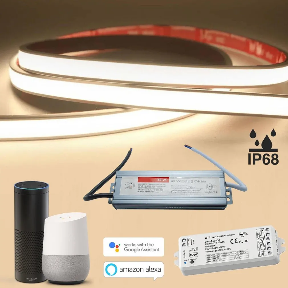 KIT SMART STRISCIA LED IP68 COB NEON FLEX DIMMERABILE 24V CENTRALINA VOCALE WIFI