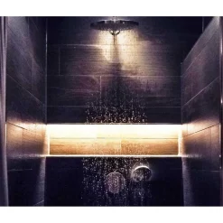 KIT SMART STRISCIA LED IP68 COB NEON FLEX DIMMERABILE 24V CENTRALINA VOCALE WIFI