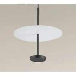 LAMPADARIO A SOSPENSIONE LUCE 6500K LED 12W DISCO PARALUME PIATTO BIANCO NERO TONDO 33122