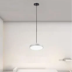 LAMPADARIO A SOSPENSIONE LED 40W ARGENTO CERCHIO TONDO MODERNO MINIMAL LUCE 6500K 32941