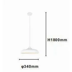 LAMPADARIO A SOSPENSIONE MODERNO CONTEMPORANEO E27 PARALUME FERRO CUPOLA BIANCO 33344