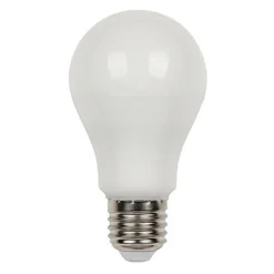 LAMPADINA A LED FILAMENTO OPACA A70 12 W E27 LUCE FREDDA CALDA NATURALE A70B12