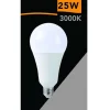 LAMPADINA A LED 25WATT A95 E27 2500LM A SFERA LUCE FREDDA CALDA NATURALE A95-25W