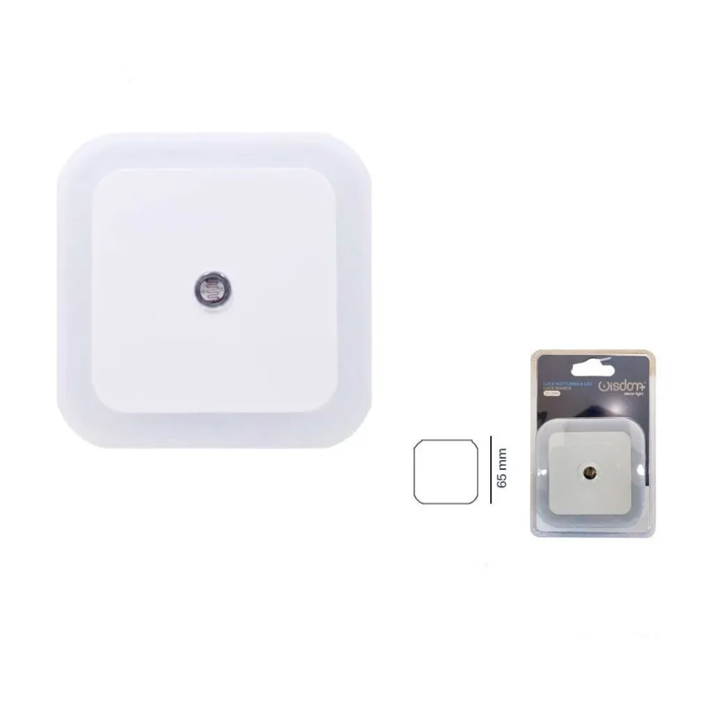 LUCE NOTTURNA A LED LUCE BIANCA LAMPADA PER CAMERA DA LETTO CORRIDOIO DT-2191