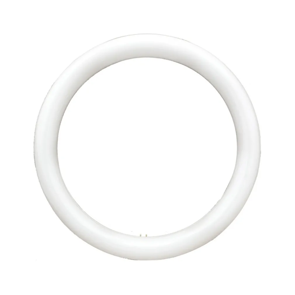 NEON CIRCOLARE DISCO LAMPADA CIRCOLINA LAMPADINA 32W G10Q 30CM 300MM LUCE FREDDA