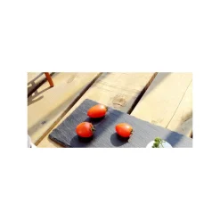 PIATTO IN PIETRA ARDESIA RETTANGOLARE 20x10CM PORTATA PER CIBI CALDI FREDDI