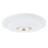 PLAFONIERA LED LAMPADA DA SOFFITTO 60W LUCE BIANCO FREDDO 6500K ORO BIANCO 63824