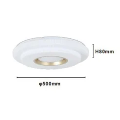 PLAFONIERA LED LAMPADA DA SOFFITTO 60W LUCE BIANCO FREDDO 6500K ORO BIANCO 63824