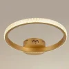 PLAFONIERA LED 28W ORO CERCHIO EFFETTO CRISTALLO LUCE CALDA NATURALE FREDDA 31760