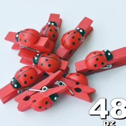 48PZ MOLLETTA 2.5MM LEGNO COCCINELLA BOMBONIERE LAUREA COMPLEANNO PORTAFORTUNA