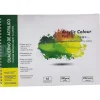 QUADERNO BLOCCO CARTA COLORI AD OLIO A3 297X420MM ALBUM FOGLIO 190GSM 24 DISEGNO