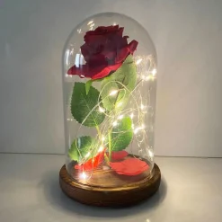 ROSA ETERNA INCANTATA LA BELLA E LA BESTIA IN CUPOLA CON BASE LEGNO E LUCI A LED