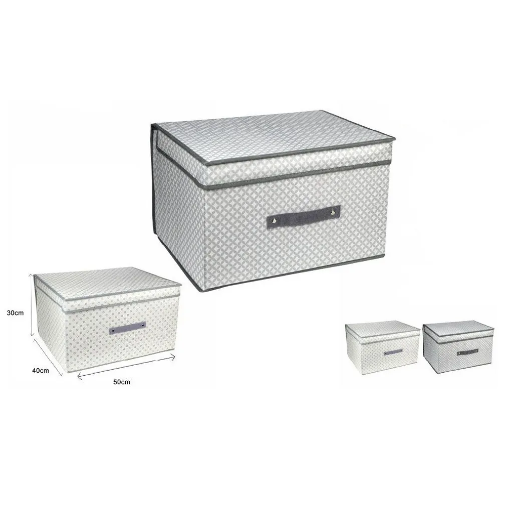 SCATOLA BOX SALVASPAZIO PORTATUTTO CONTENITORE ARMADI ORGANIZER 50X40X30CM 53028