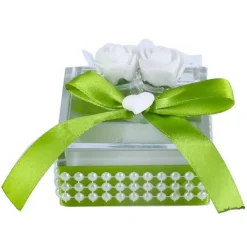 SET 12 PEZZI BOMBONIERA BOMBONIERE COFANETTO PLASTICA VERDE INVITO PORTACONFETTI