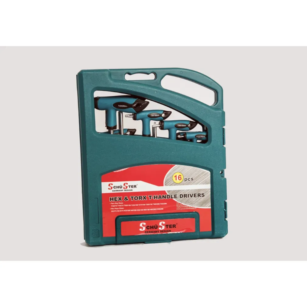 SET 16 PZ CHIAVI KIT CHIAVE A T ESAGONALI E TORX LUNGHE VALIGETTA PROFESSIONALI