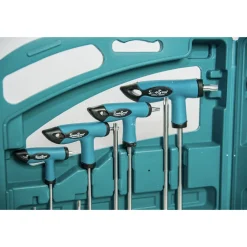 SET 16 PZ CHIAVI KIT CHIAVE A T ESAGONALI E TORX LUNGHE VALIGETTA PROFESSIONALI