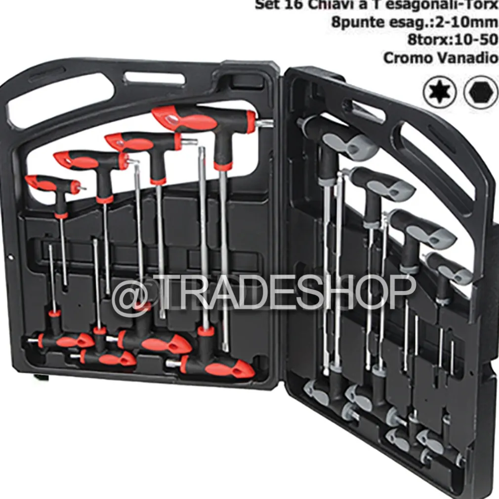 SET KIT 16 PZ CHIAVI CHIAVE A T ESAGONALI E TORX LUNGHE VALIGETTA PROFESSIONALI