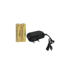 TORCIA LED DA TESTA FRONTALE RICARICABILE INDUZIONE CREE T6 REGOLABILE DT-2169